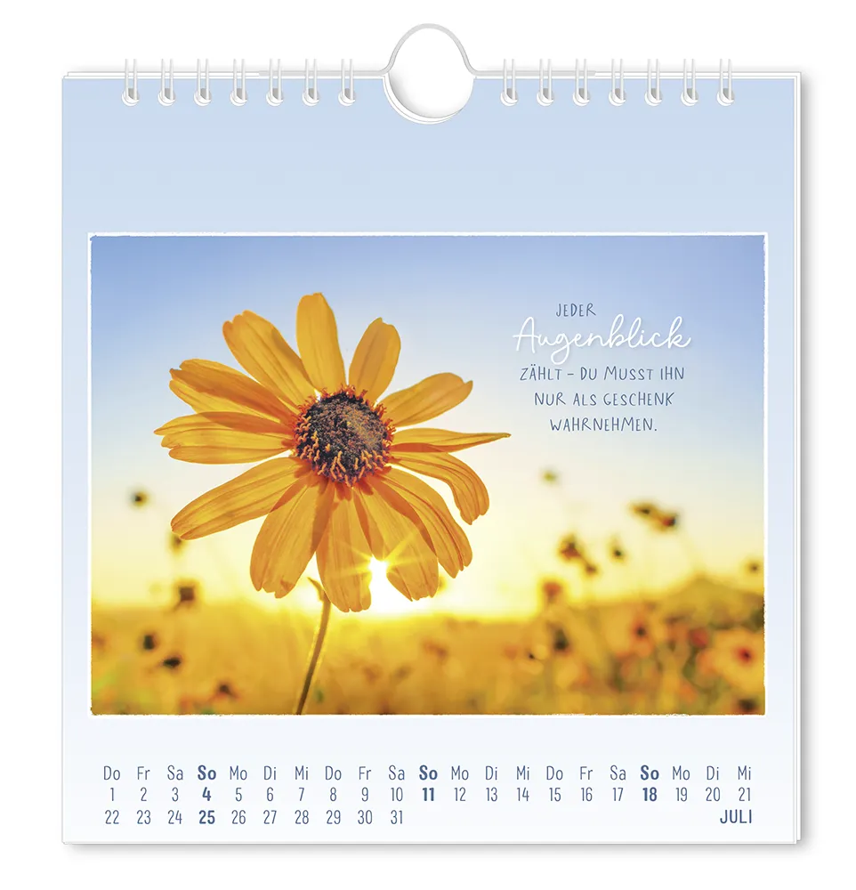 Postkartenkalender - 2027 - "Traumtage" - Monat Juli - Blumenfeld mit einer Blume im direkten Sichtfeld, durch welche die Sonne hindurch scheint. Mit dem Spruch "Jeder Augenblick Zählt - du musst ihn nur als Geschenk Wahrnehmen."