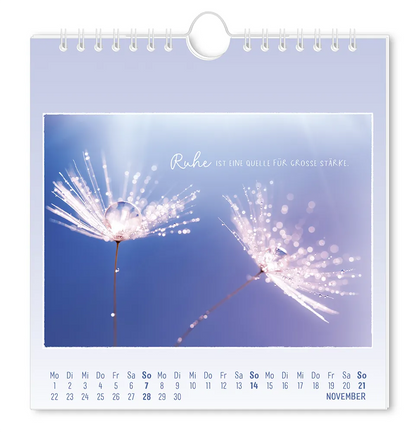 Postkartenkalender - 2027 - "Traumtage" - Monat November -  2 Pusteblumen vor blauem Hintergrund mit dem Spruch "Ruhe ist eine Quelle für Grosse Stärke."