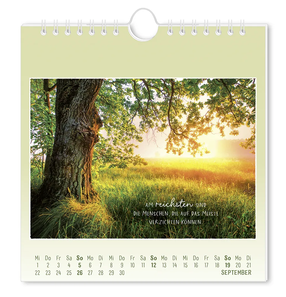 Postkartenkalender - 2027 - "Traumtage" - Monat September - Eine Wiese mit hohem Gras und einem Baum im direkten Sichtfeld mit dem Spruch "Am reichsten sind die Menschen, die auf das Meiste verzichten können"