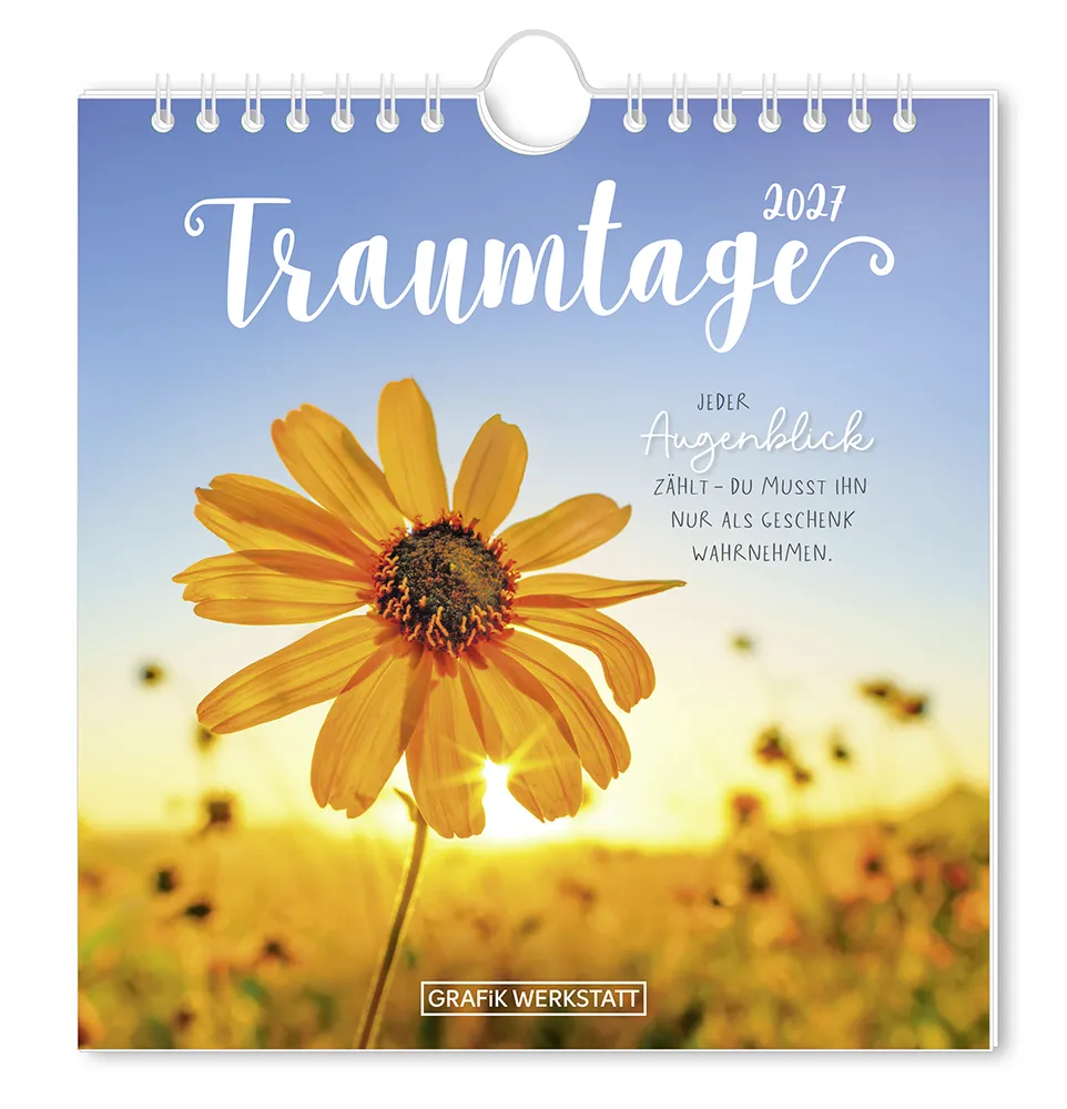 Postkartenkalender - 2027 - "Traumtage" - Titelblatt - Blumenfeld mit einer Blume im direkten Sichtfeld, durch welche die Sonne hindurch scheint. Mit dem Spruch "Jeder Augenblick Zählt - du musst ihn nur als Geschenk Wahrnehmen."