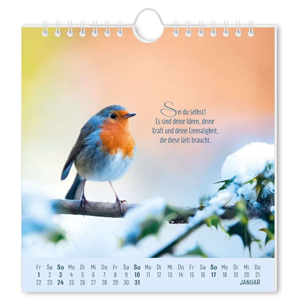 Postkartenkalender 2027 "Lebenszeichen" -  Monat Januar - Rotkelchen, dass auf einem Ast mit Schnee sitzt mit dem Spruch "Se du Selbst! Es sind deine Ideen, deine Kraft und deine Einmaligkeit, die diese Welt braucht."