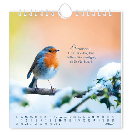 Postkartenkalender 2027 "Lebenszeichen" -  Monat Januar - Rotkelchen, dass auf einem Ast mit Schnee sitzt mit dem Spruch "Se du Selbst! Es sind deine Ideen, deine Kraft und deine Einmaligkeit, die diese Welt braucht."