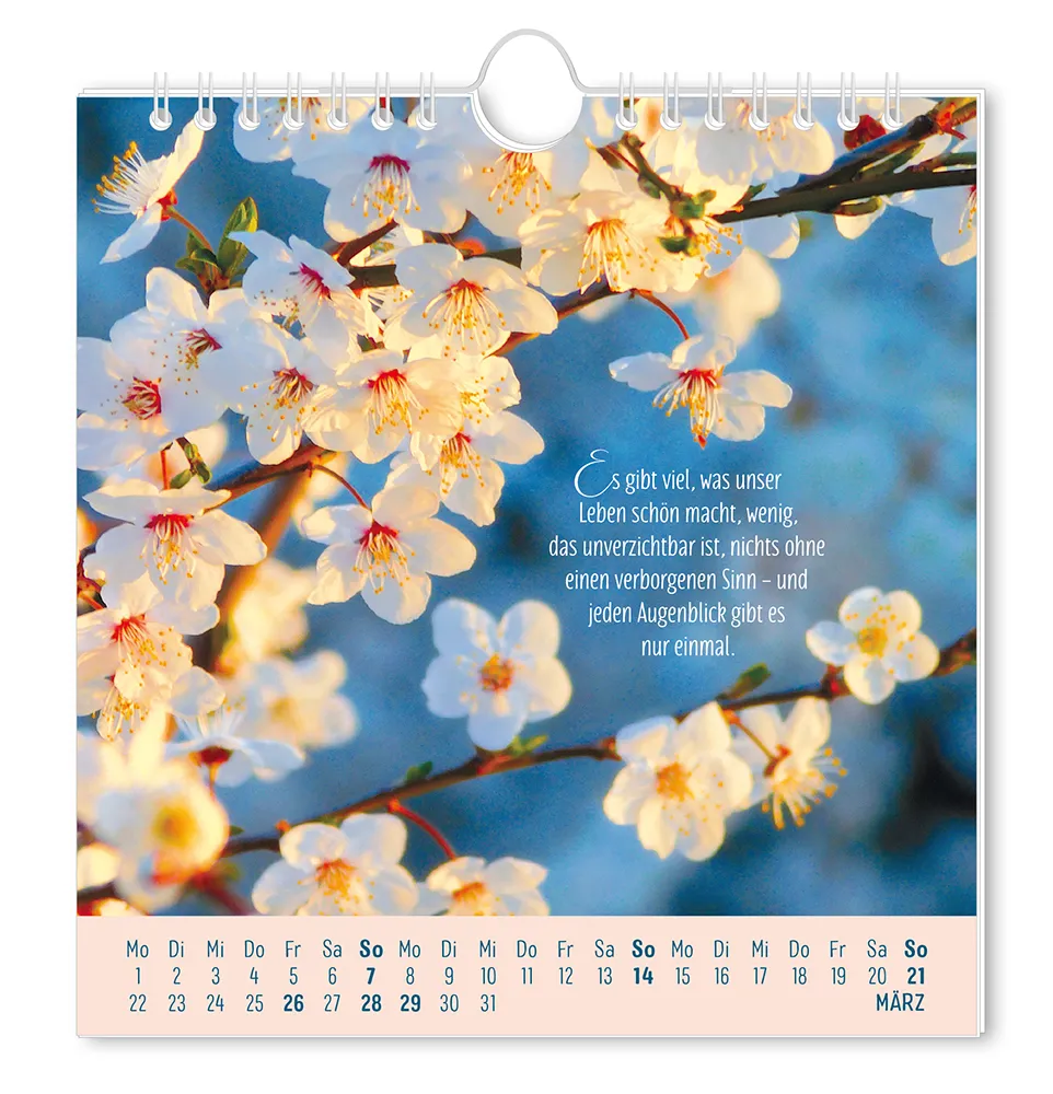 Postkartenkalender 2027 "Lebenszeichen" -  Monat März - Blüten an Ästen mit dem Spruch "Es gibt viel, was unser Leben schön macht, wenig, das unverzichtbar ist, nichts ohne einen verborgenen Sinn - und jeden Augenblick gibt es nur einmal."