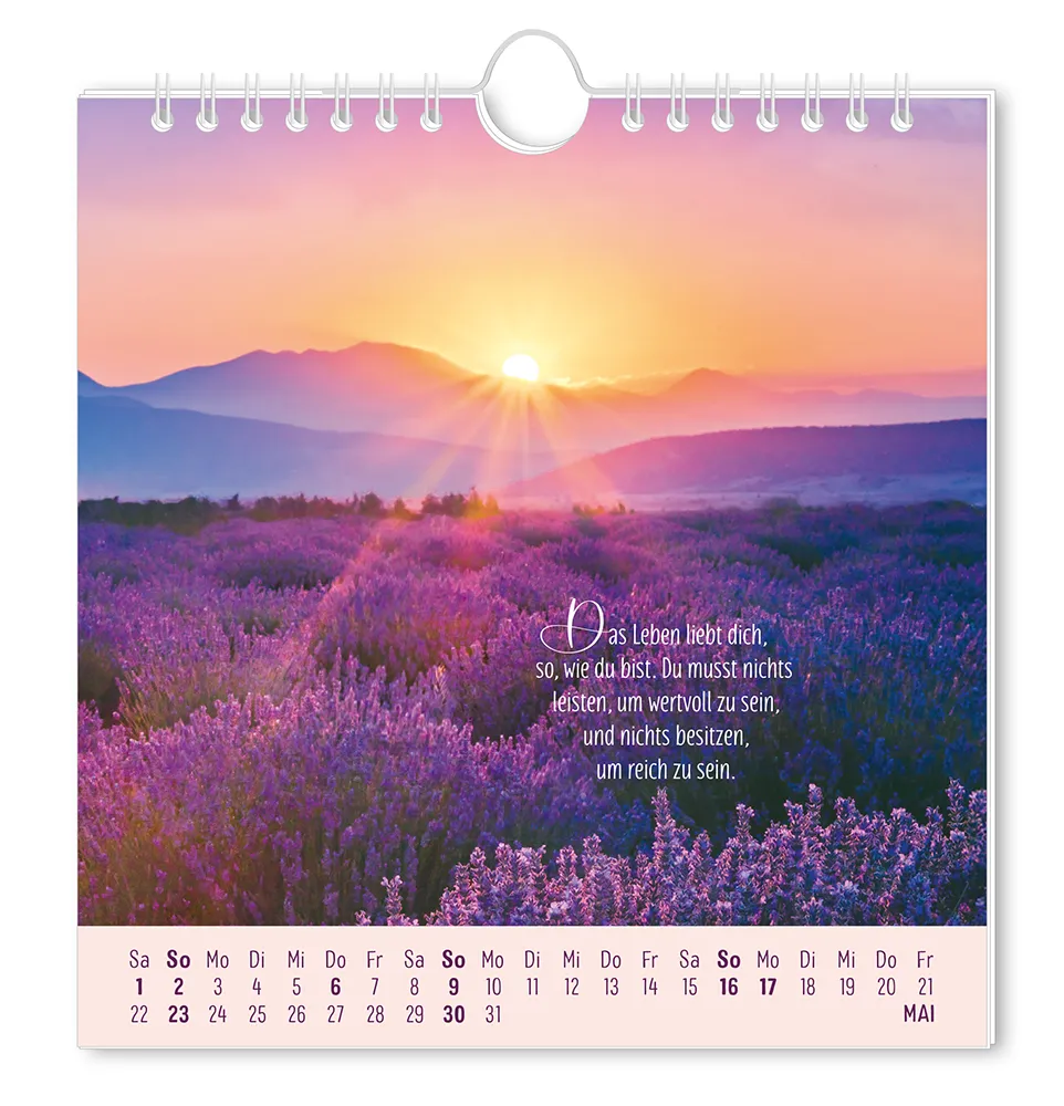 Postkartenkalender 2027 "Lebenszeichen" -  Monat Mai - Violettes Blumenfeld mit Bergen im Hintergrund bei Sonnenuntergang mit dem Spruch "Das Leben liebt dich, so, wie du bist. Du musst nichts leisten um Wertvoll zu , und nichts besitzen, um reich zu sein."