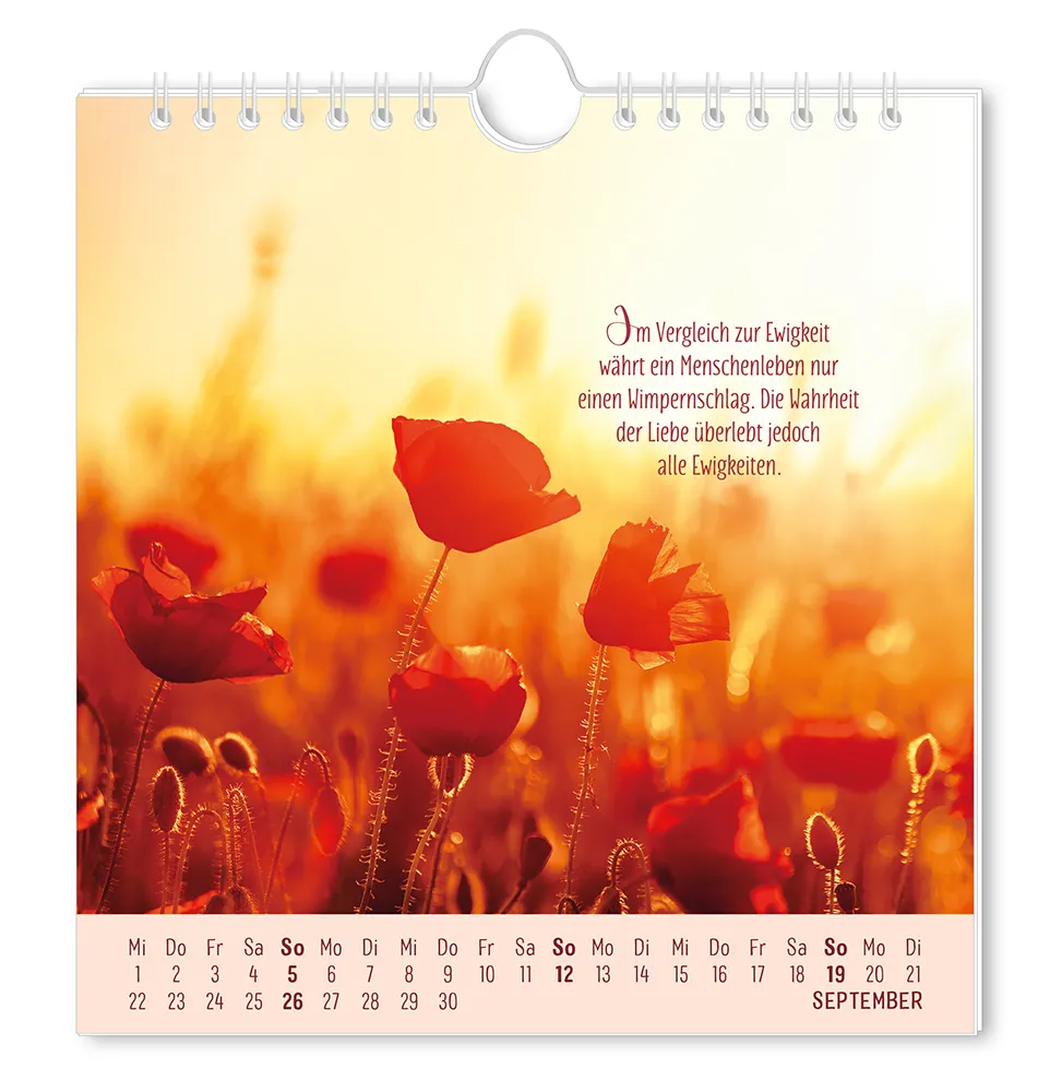 Postkartenkalender 2027 "Lebenszeichen" -  Monat September - Blumenfeld mi erhellten Hintergrund mit dem Spruch "Im Vergleich zur Ewigkeit  währt ein Menschenleben nur einen Wimpernschlag. Die Wahrheit der Liebe überlebt jedoch alle Ewigkeiten."
