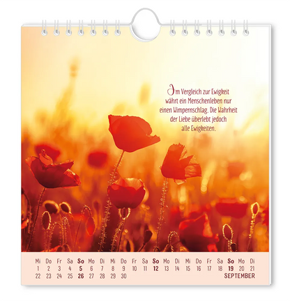 Postkartenkalender 2027 "Lebenszeichen" -  Monat September - Blumenfeld mi erhellten Hintergrund mit dem Spruch "Im Vergleich zur Ewigkeit  währt ein Menschenleben nur einen Wimpernschlag. Die Wahrheit der Liebe überlebt jedoch alle Ewigkeiten."