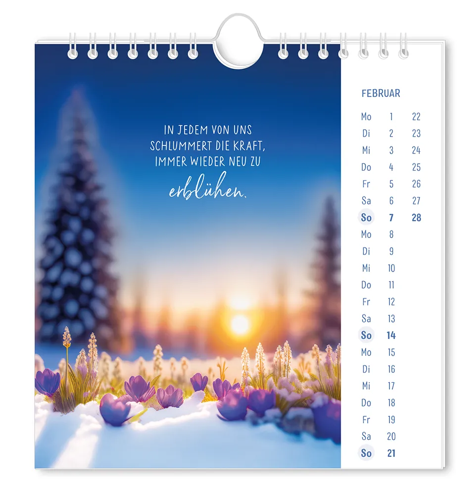 Postkartenkalender "Lichtblicke" 2027 -  Monat Februar -  Blumen im Schnee bei Sonnenuntergang mit dem Spruch "In jedem von uns schlummert die Kraft, immer wieder neu zu erblühen"