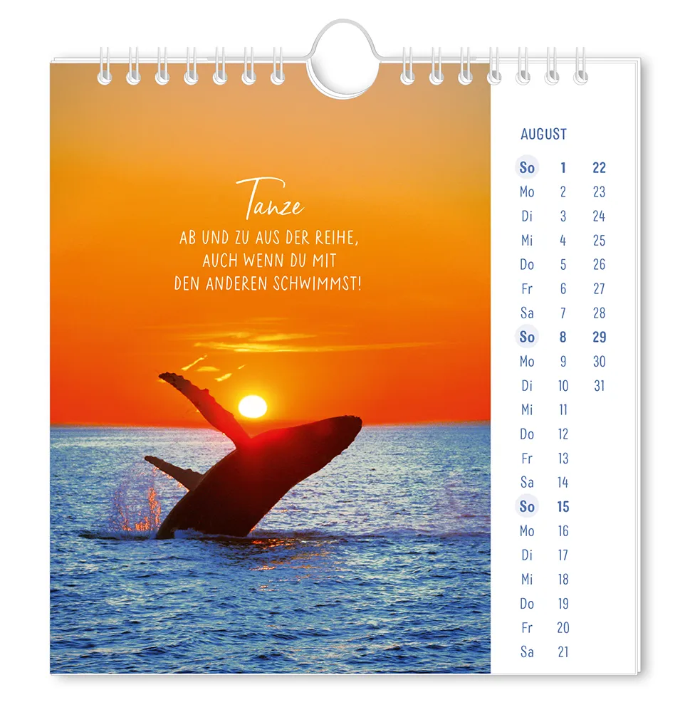 Postkartenkalender "Lichtblicke" 2027 -  Monat August - Wal erhebt sich bei Sonnenuntergang aus dem Meer mit dem Spruch "Tanze ab und zu aus der Reihe, auch wenn d mit anderen schwimmst!"