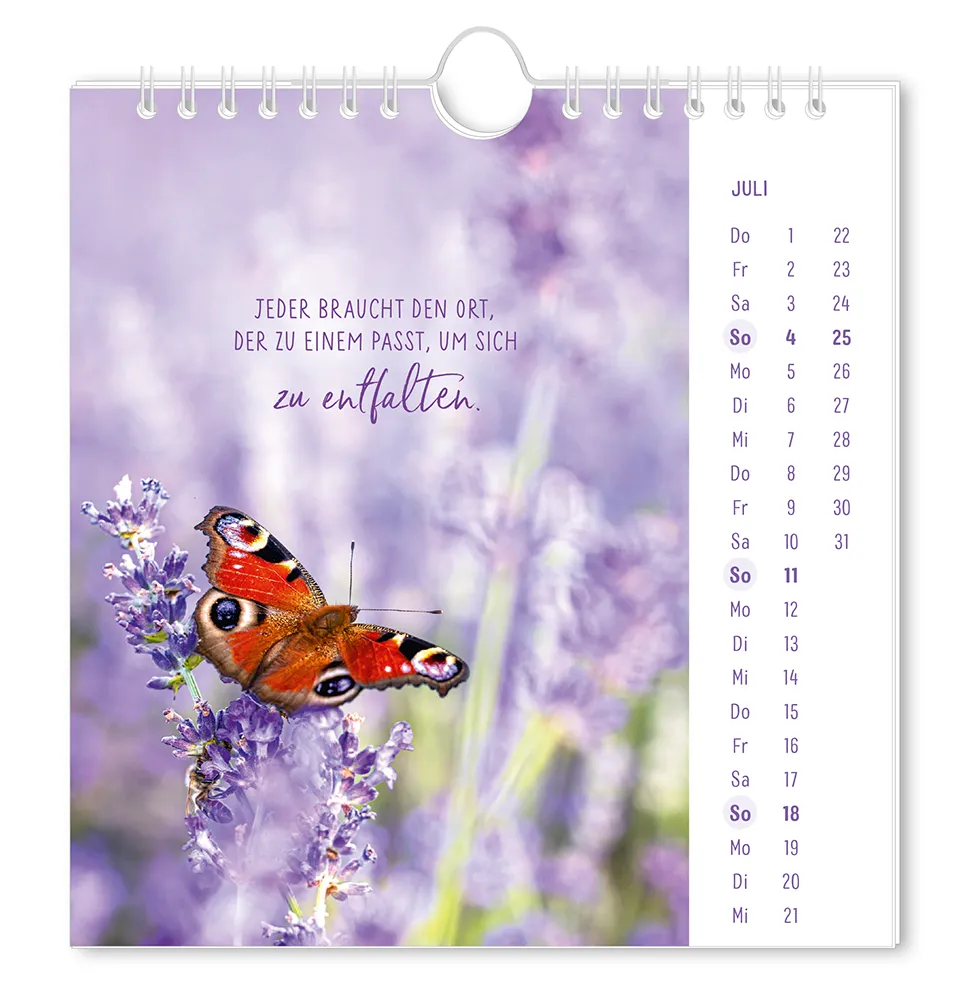 Postkartenkalender "Lichtblicke" 2027 -  Monat Juli - Schmetterling auf Flieder mit dem Spruch "Jeder braucht einen Ort, der zu einem passt, um sich zu entfalten"