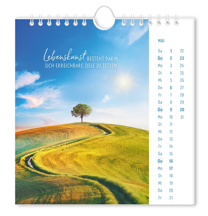 Postkartenkalender "Lichtblicke" 2027 - Monat Mai - Hügel mit einer Wiese, einem Bach und einem Baum im Sonnenschein mit dem Spruch "Lebenskunst besteht darin, sich erreichbare Ziele zu setzen."