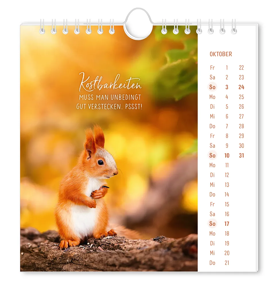 Postkartenkalender "Lichtblicke" 2027 -  Monat Oktober - Eichhörnchen auf Baumrinde mit dem Spruch "Kostbarkeiten muss man unbedingt gut verstecken. PSSST!"