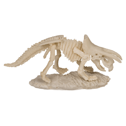 Ausgrabungsset Dinosaurier-Skelett 18cm