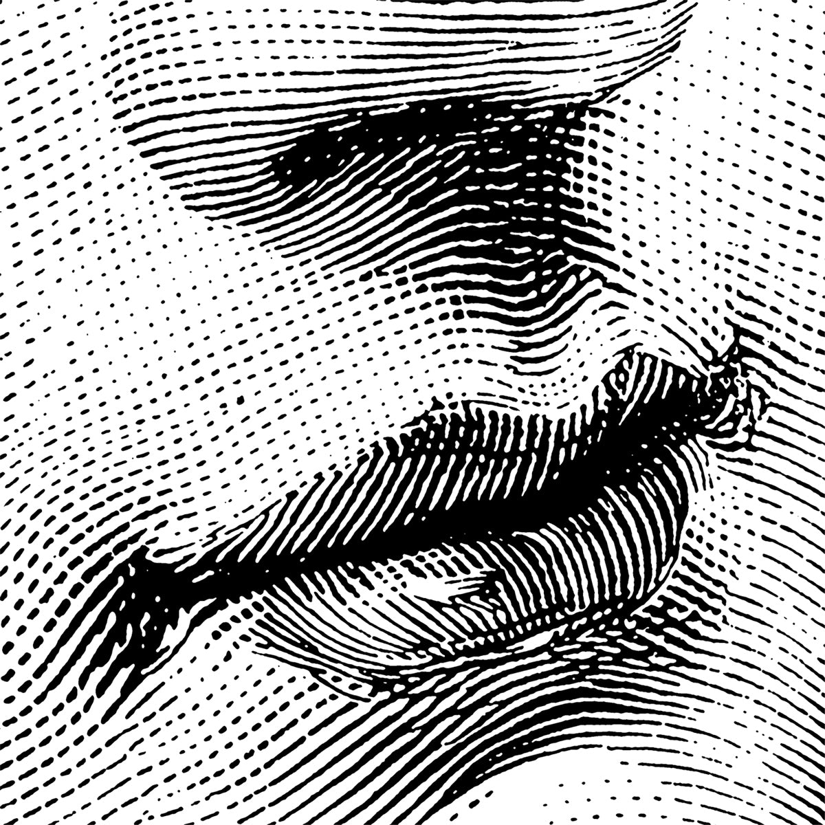 Servietten "Kiss" by ppd, 20 Stück, 25x25 cm
