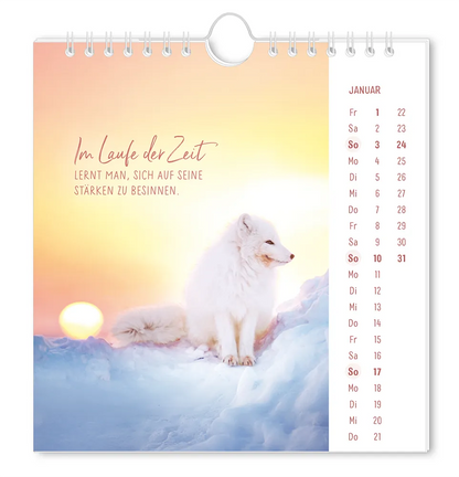 Postkartenkalender - "Lichtblicke" - 2027 - Monat Januar - Fuchs mit weißem Fell im Schnee mit dem Spruch "Im laufe der Zeit lernt man, sich auf seine Stärken zu besinnen"