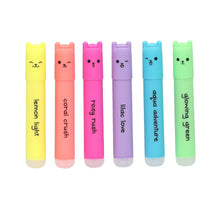 PENfection Radierbare Mini Textmarker Set