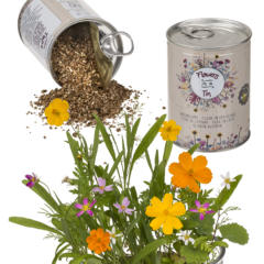 Blumen aus der Dose - Blumenwiese