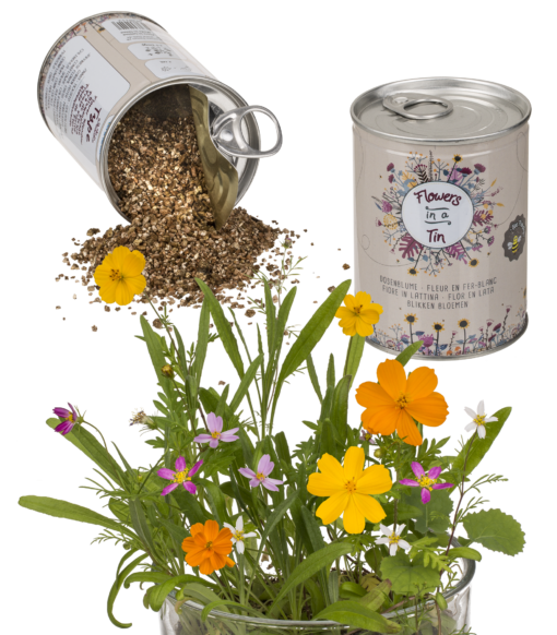 Blumen aus der Dose - Blumenwiese