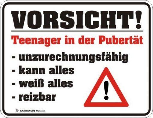 RAHMENLOS® Blechschild "Teenager in der Pubertät"