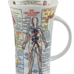 Dunoon Becher Glencoe "Bodyworks"