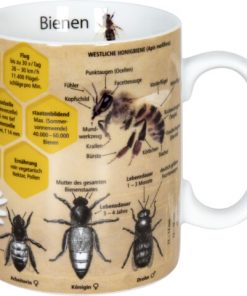 Könitz Wissensbecher "Bienen"