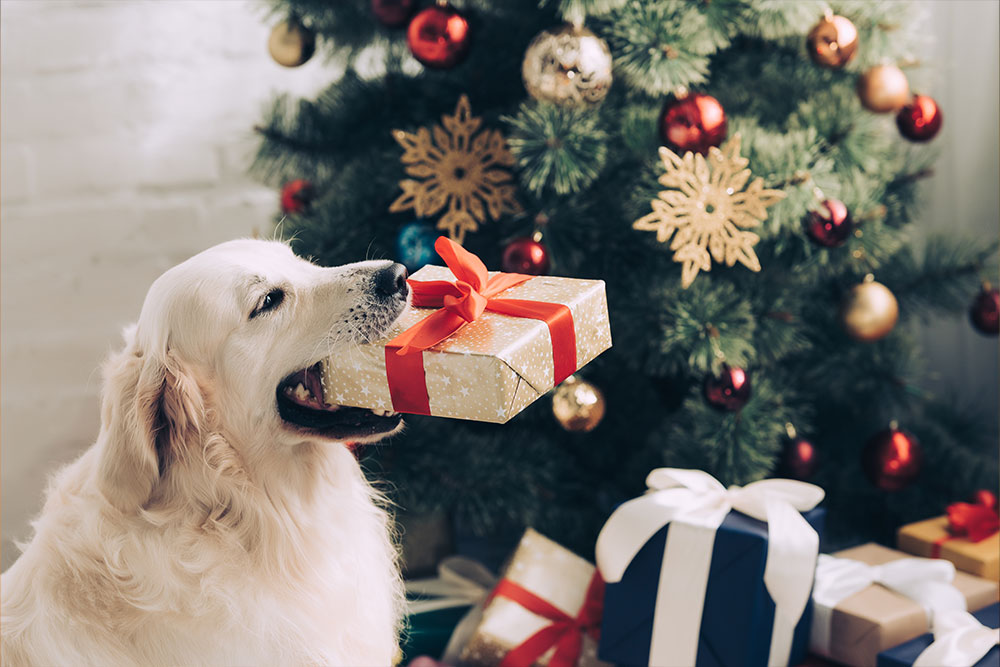 Weihnachtsgeschenke verschenken mit Unikum