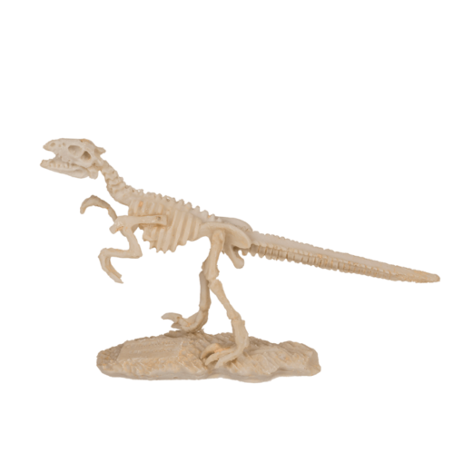 Ausgrabungsset Dinosaurier-Skelett 18cm