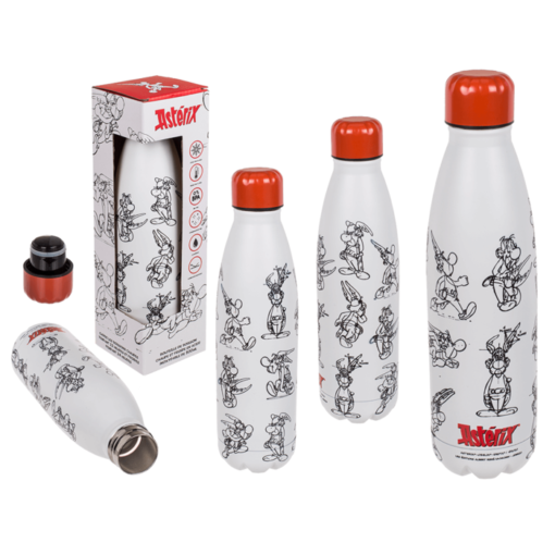 Metall-Trinkflasche "Asterix"