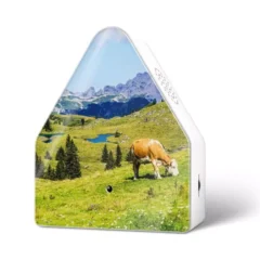 HeidiBox Almwiese