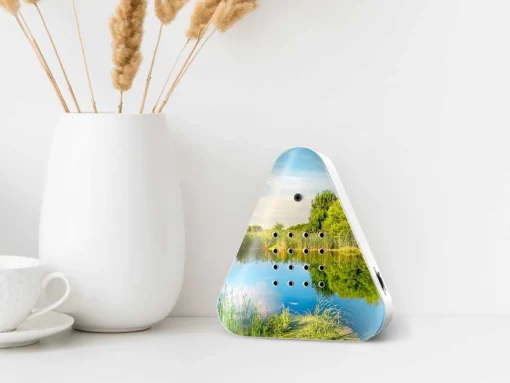 Zeigt die LakesideBox Summertime auf einem Tisch mit einer Vase und Tasse Kaffee