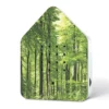 ZwitscherBox Wald (Forest)