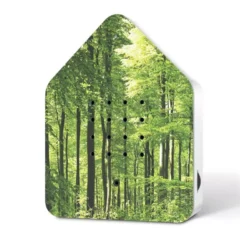 ZwitscherBox Wald (Forest)