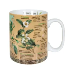 Könitz Wissensbecher "Teewissen"