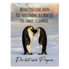 Magnet "Du bist mein Pinguin"