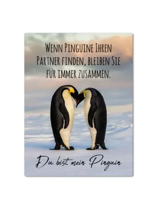 Magnet "Du bist mein Pinguin"