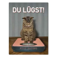 Magnet "Du lügst!"– Katze