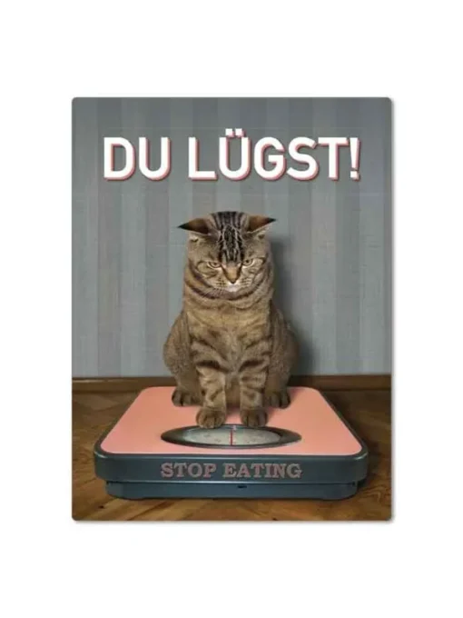 Magnet "Du lügst!"– Katze