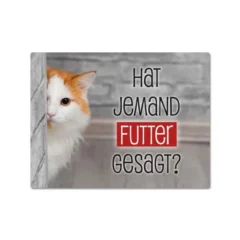 Magnet "Hat jemand Futter gesagt?" mit Katze