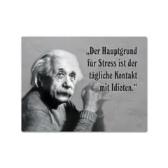 Magnet "Kontakt mit Idioten" mit Albert Einstein