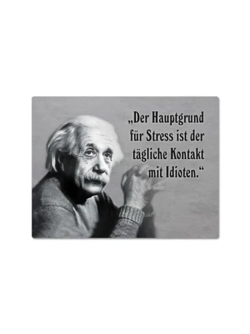 Magnet "Kontakt mit Idioten" mit Albert Einstein