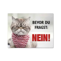Magnet "Bevor du fragst: Nein!" mit Katze
