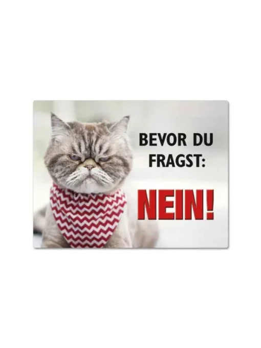 Magnet "Bevor du fragst: Nein!" mit Katze