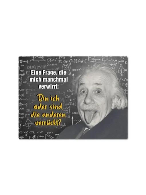Magnet "Bin ich verrückt?" mit Albert Einstein