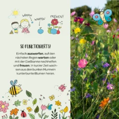 Die Stadtgärtner – Blumenmurmeln in der Dose, 25 Stk.
