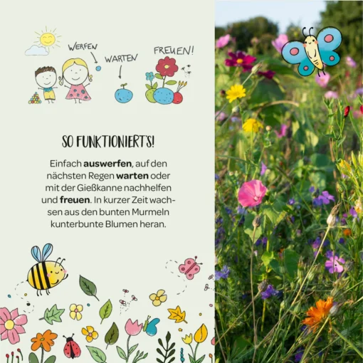 Die Stadtgärtner – Blumenmurmeln in der Dose, 25 Stk.