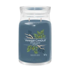 Yankee Candle Duftkerze - Bayside Cedar, Großes Glas
