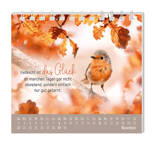 Mini Kalender "Extraportion Glück" 2026 von Grafik Werkstatt, Monat November