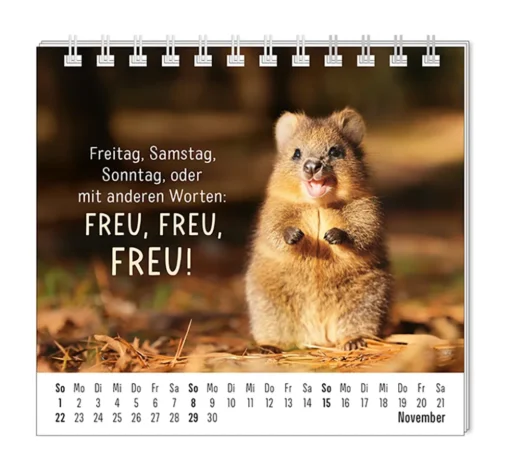 Mini Kalender "Happymacher" 2026 von Grafik Werkstatt, Monat November
