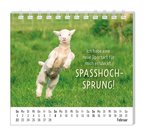 Mini Kalender "Happymacher" 2026 von Grafik Werkstatt, Monat Februar