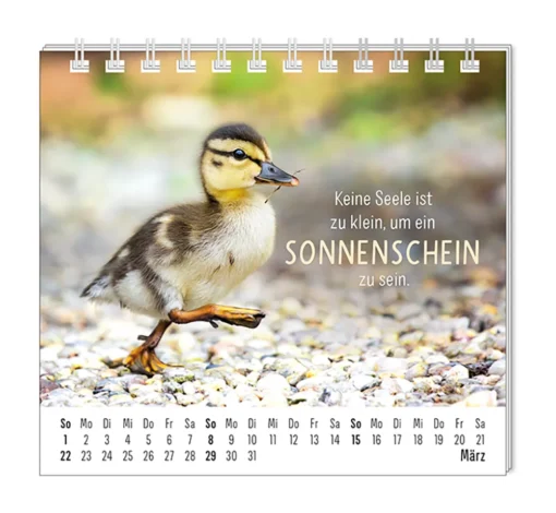 Mini Kalender "Happymacher" 2026 von Grafik Werkstatt, Monat März