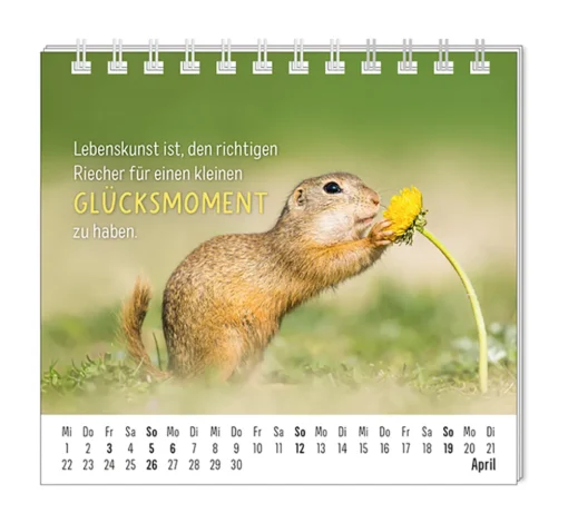 Mini Kalender "Happymacher" 2026 von Grafik Werkstatt, Monat April